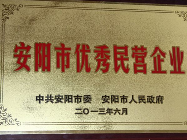 2013年安陽優(yōu) 秀民營(yíng)企業(yè)